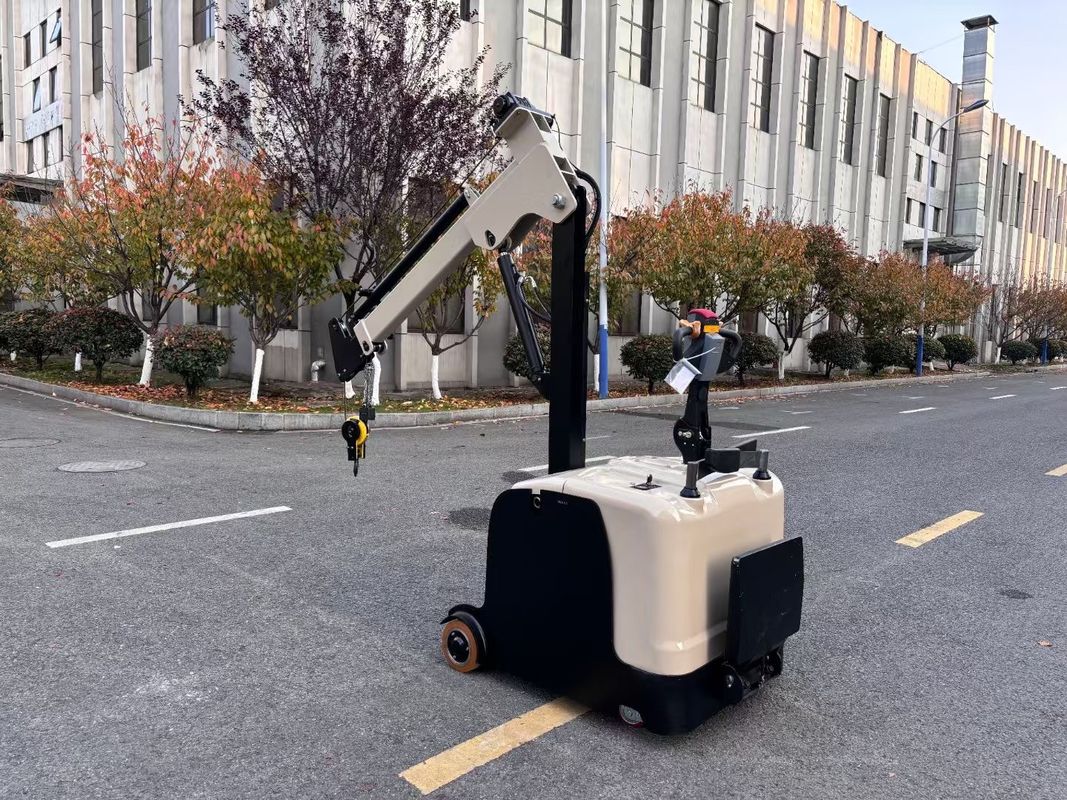 300 KG Lifting Capacity Non Standard Electric Mini Crane Arm Truck  Lifting Height 3000 MM