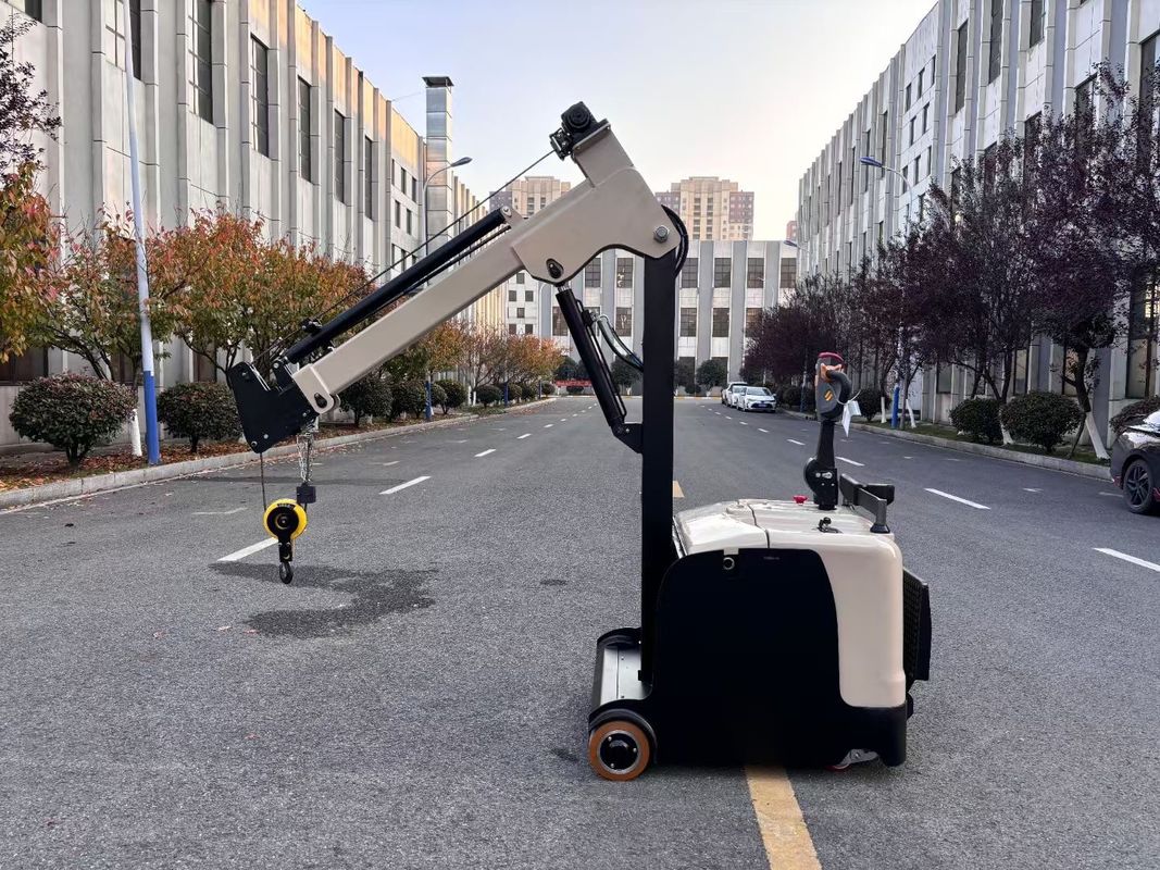 300 KG Lifting Capacity Non Standard Electric Mini Crane Arm Truck  Lifting Height 3000 MM